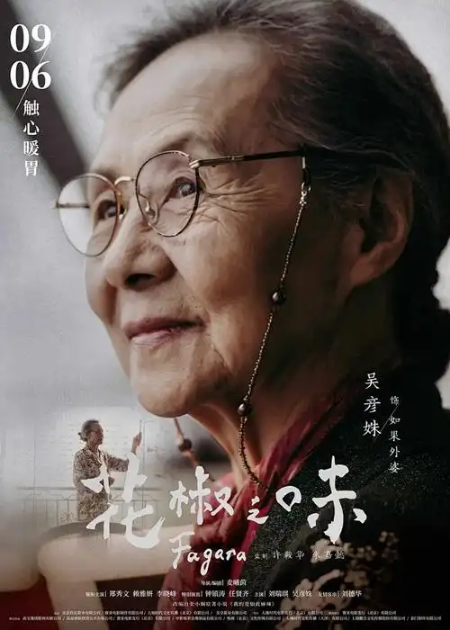 二十四格的风治愈动画海报